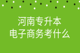 2022河南專升本電子商務(wù)考什么？考試科目是哪些