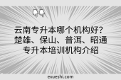 云南專升本哪個(gè)機(jī)構(gòu)好？楚雄、保山、普洱、昭通專升本培訓(xùn)機(jī)構(gòu)介紹