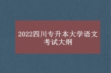 2022四川专升本大学语文考试大纲公布 看看发生了哪些变化？