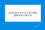重磅发布：2023年四川专升本大学计算机基础考试大纲（附件下载）公布！