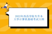 2022年西昌學院專升本大學計算機基礎(chǔ)考試大綱公布 延用舊版無變化！