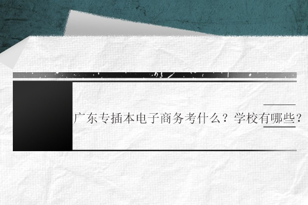 廣東專插本電子商務考什么