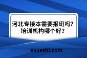 河北專接本需要報班嗎？培訓機構哪個好？