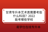 甘肅專升本藝術(shù)類需要考些什么科目？2022能考哪些學(xué)校