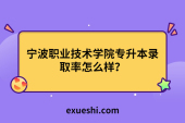 寧波職業(yè)技術學院專升本錄取率怎么樣？