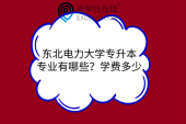 東北電力大學專升本專業(yè)有哪些？學費多少