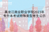 黑龍江商業(yè)職業(yè)學院2023年專升本考試特殊類型考生公示