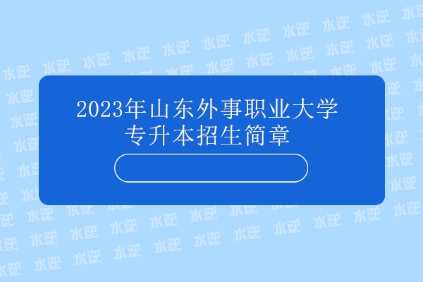 2023年山东外事职业大学专升本招生简章