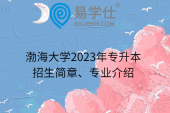 渤海大学2023年专升本招生简章、专业介绍