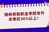 錫林郭勒職業(yè)學院專升本率在36%以上！