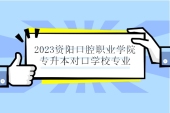 2023資陽(yáng)口腔職業(yè)學(xué)院專升本對(duì)口學(xué)校有4所