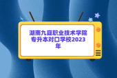 湖南九嶷職業(yè)技術學院專升本對口學校2023年清單