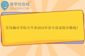 青島城市學院專升本2024年各專業(yè)錄取分數(shù)線！