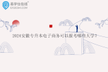 2024安徽專升本電子商務(wù)可以報(bào)考哪些大學(xué)？