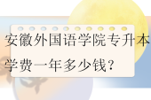 安徽外國語學(xué)院專升本學(xué)費一年多少錢？