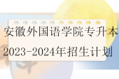 安徽外國(guó)語學(xué)院專升本2023-2024年招生計(jì)劃匯總