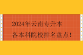 2024年云南專升本各本科院校排名盤點(diǎn)！