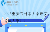 2025重慶專升本大學(xué)語文考試大綱
