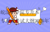 皖江工學(xué)院專(zhuān)升本專(zhuān)業(yè)課考試大綱2025年~