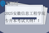 2025安徽信息工程學(xué)院專升本考試大綱??！