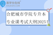 合肥城市學(xué)院專(zhuān)升本專(zhuān)業(yè)課考試大綱2025！