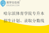 哈爾濱體育學(xué)院專升本招生計劃、錄取分?jǐn)?shù)線2021-2024！