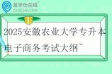 2025安徽農(nóng)業(yè)大學(xué)專升本電子商務(wù)考試大綱~