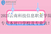 2025云南科技信息職業(yè)學(xué)院專升本對(duì)口學(xué)校及專業(yè)表！