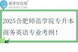 2025合肥師范學(xué)院專升本商務(wù)英語專業(yè)考綱