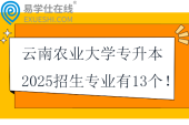 云南農(nóng)業(yè)大學專升本2025招生專業(yè)有13個！