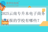 2025云南專升本電子商務可以報的學校有哪些？