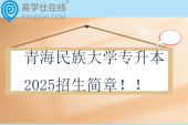 青海民族大學(xué)專升本2025招生簡章??！