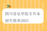 四川音樂學(xué)院專升本招生簡章2025
