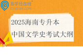 2025海南專升本中國文學(xué)史考試大綱