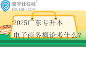 2025廣東專升本電子商務(wù)概論考什么？