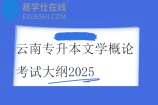 云南專升本文學(xué)概論考試大綱2025