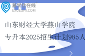 山東財(cái)經(jīng)大學(xué)燕山學(xué)院專升本2025招生計(jì)劃985人