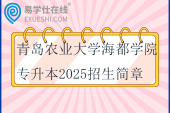 青島農(nóng)業(yè)大學(xué)海都學(xué)院專升本2025招生簡章、招生計劃