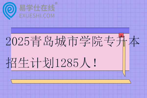 2025青島城市學(xué)院專升本招生計劃