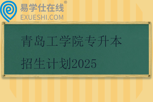 青島工學(xué)院專升本招生計(jì)劃2025