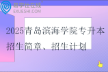 2025青島濱海學(xué)院專升本招生簡章、招生計(jì)劃