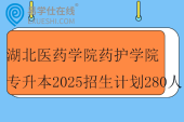 湖北醫(yī)藥學(xué)院藥護(hù)學(xué)院專升本2025招生計劃280人