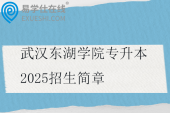 武漢東湖學(xué)院專升本2025招生簡章