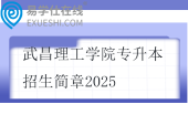 武昌理工學院專升本招生簡章2025