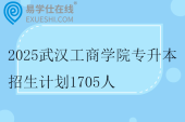 2025武漢工商學院專升本招生計劃1705人