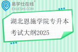 湖北恩施學(xué)院專升本考試大綱2025