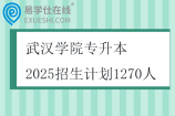 武漢學(xué)院專升本2025招生計劃1270人
