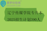 遼寧傳媒學院專升本2025招生計劃390人