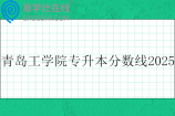青島工學(xué)院專升本分?jǐn)?shù)線2025