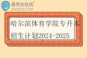 哈尔滨体育学院专升本招生计划2024-2025 哈尔滨体育学院专升本招生计划2024-2025